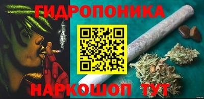 мяу мяу мука Будённовск