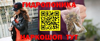 мяу мяу мука Будённовск
