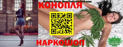мяу мяу мука Будённовск
