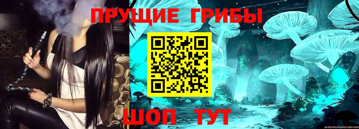 Курчатов  Галлюциногенные грибы Magic Shrooms  Вход с VPN 